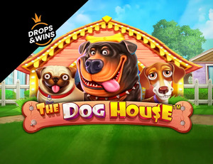 Ігровий автомат The Dog House в казино Pin-Up